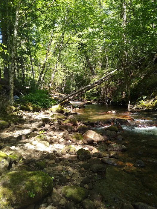 Riley Horse Campground 4