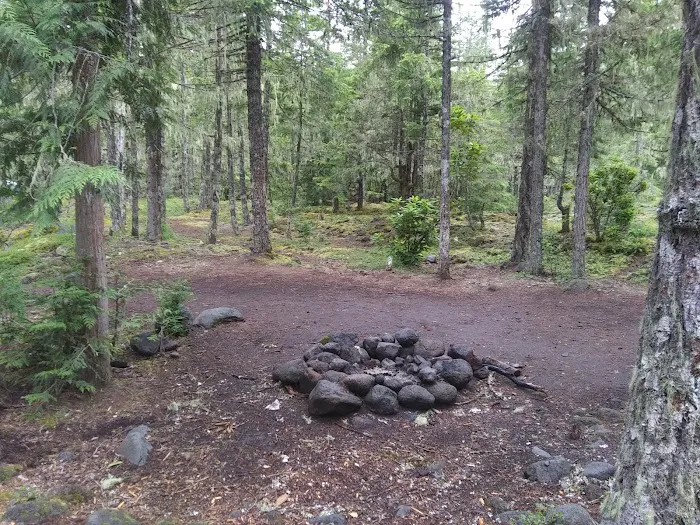 McNeil Campground 0