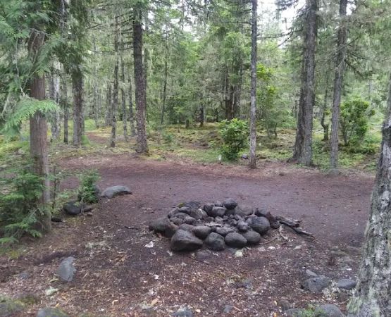 McNeil Campground