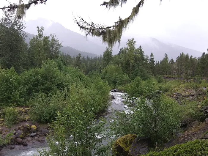 McNeil Campground 1