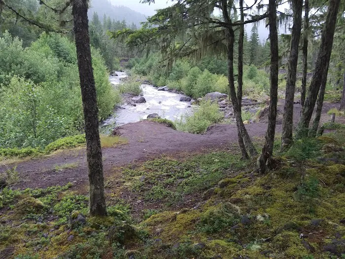 McNeil Campground 3