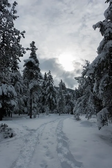 McNeil Campground 5