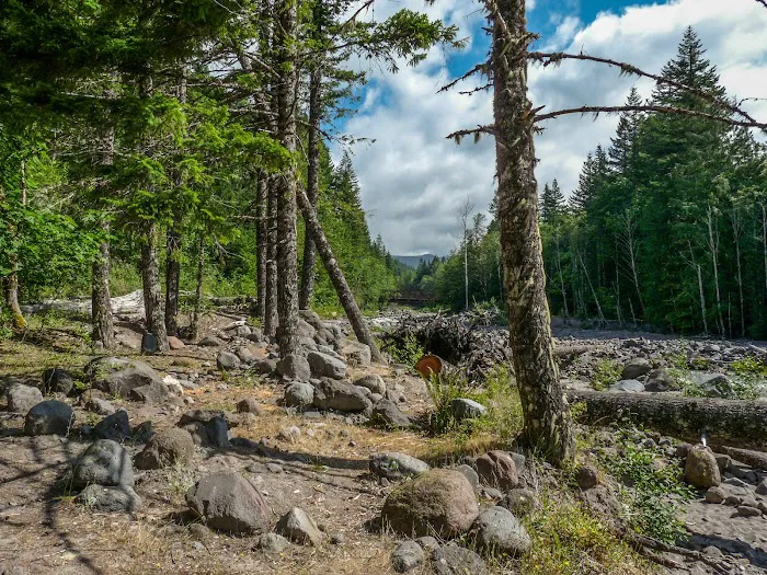 McNeil Campground 9