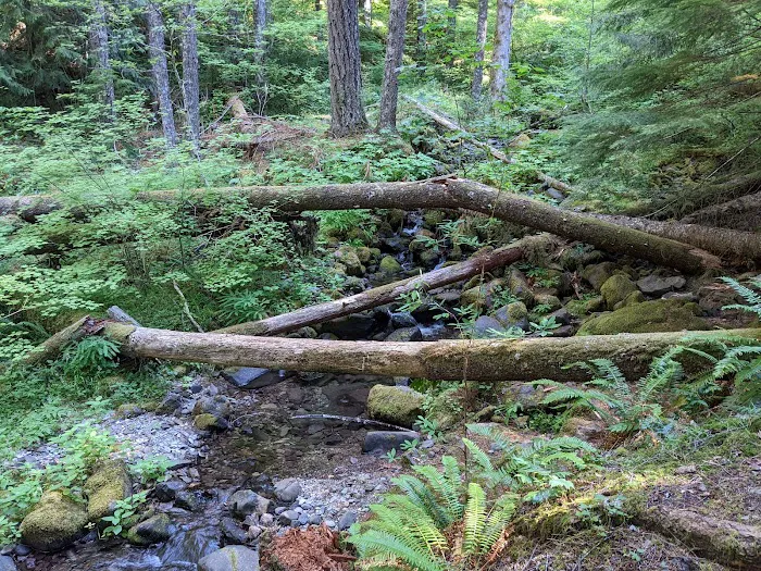 Goat Creek Campground 2