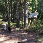 Frazier Fork Campground