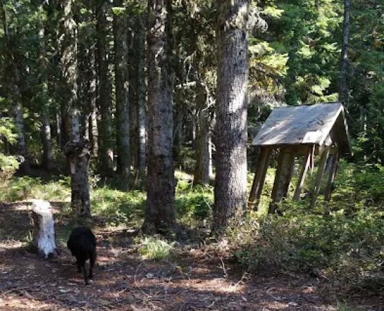 Frazier Fork Campground