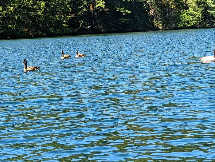 Lake Harriet Campground 5