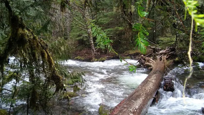 Shellrock Creek Campground 0