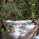 Shellrock Creek Campground
