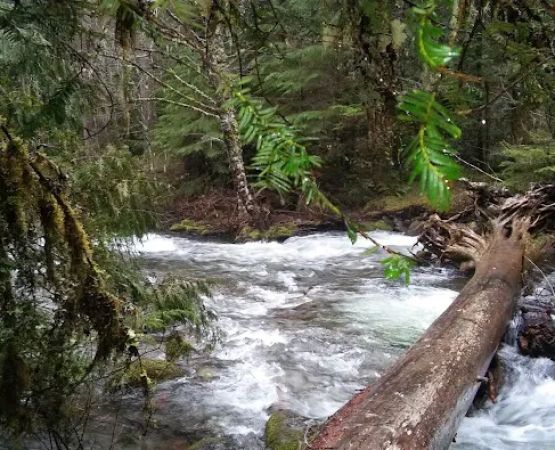 Shellrock Creek Campground
