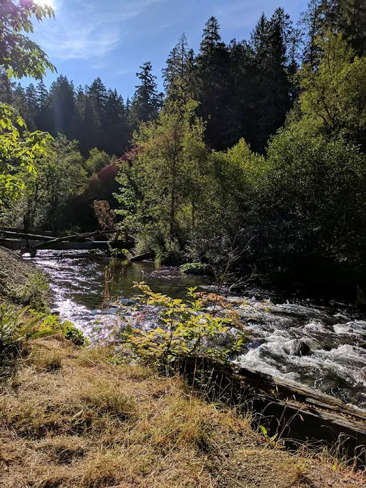Ripplebrook Campground 3