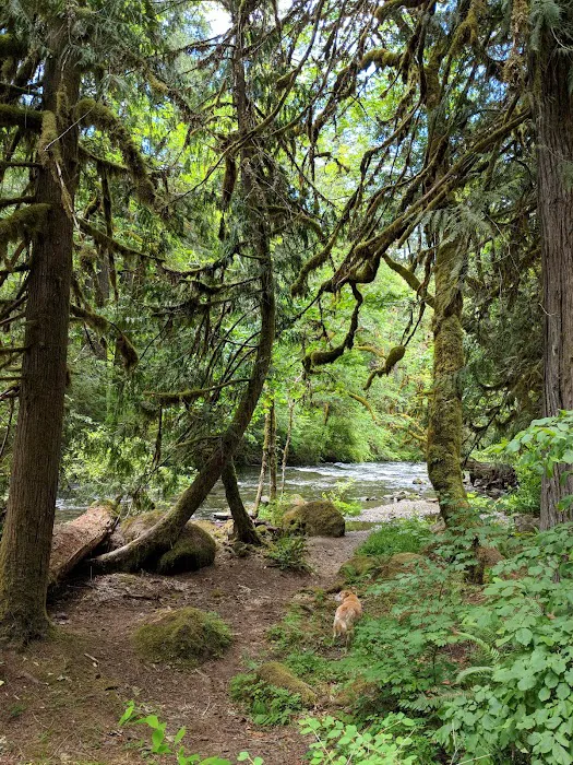 Ripplebrook Campground 2