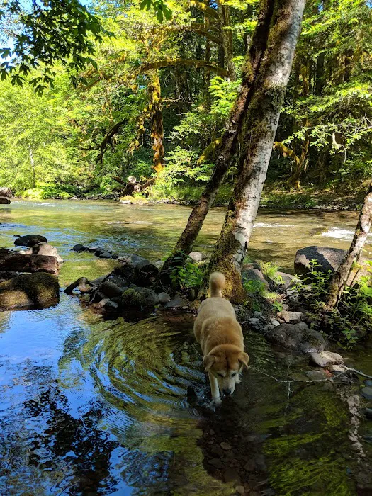 Ripplebrook Campground 0