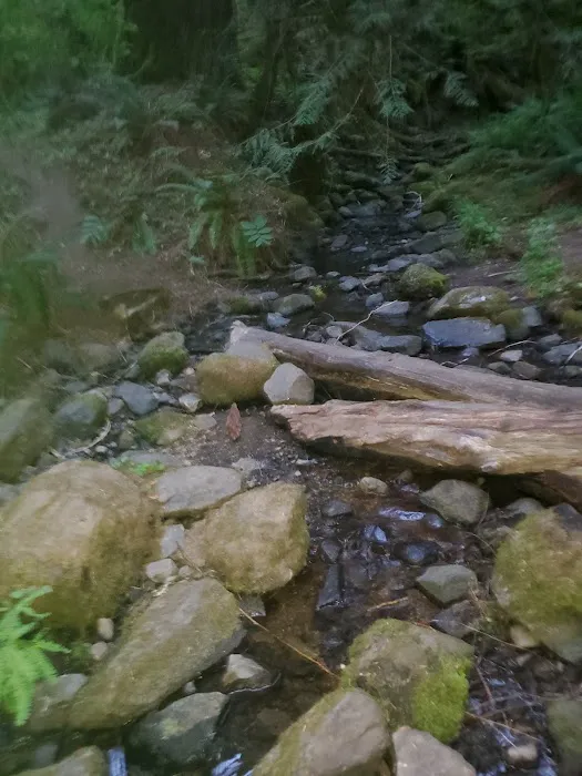 Ripplebrook Campground 6
