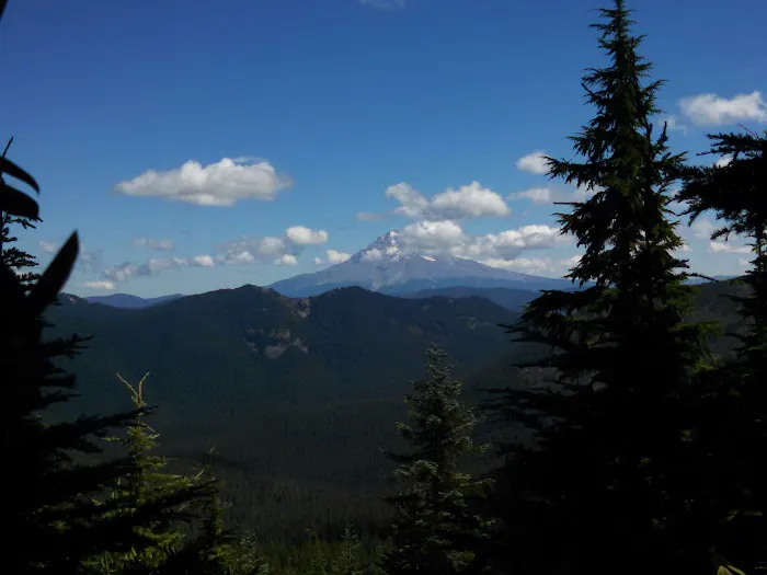 Shining Lake Campground 1