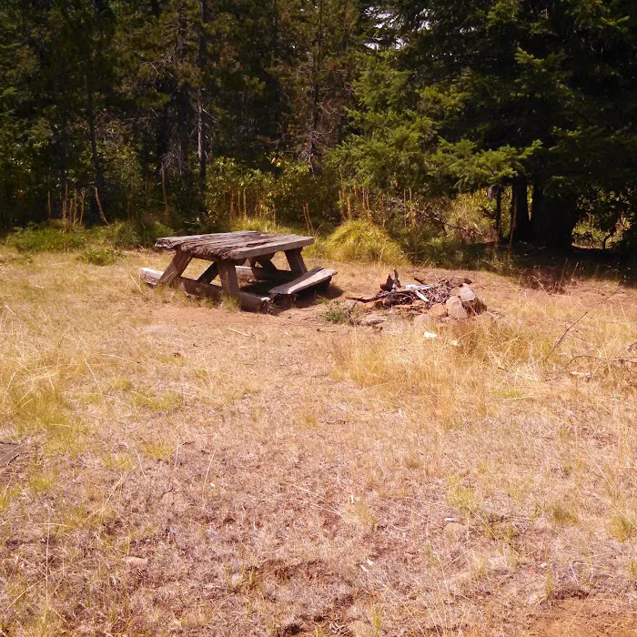 Shining Lake Campground 2