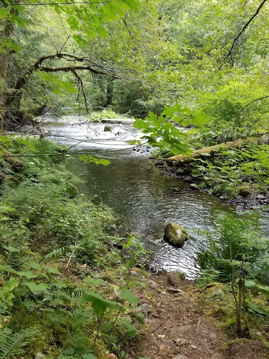 Rainbow Campground 9