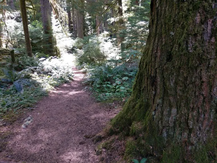 Alder Flat Trailhead 2