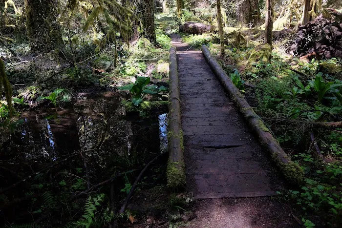 Alder Flat Trailhead 3