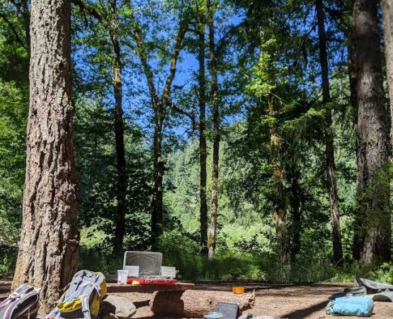 Alder Flat Trailhead