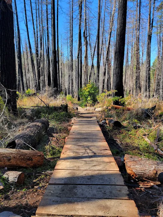Alder Flat Trailhead 6