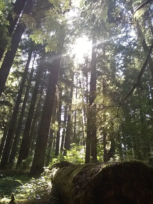 Alder Flat Trailhead 8