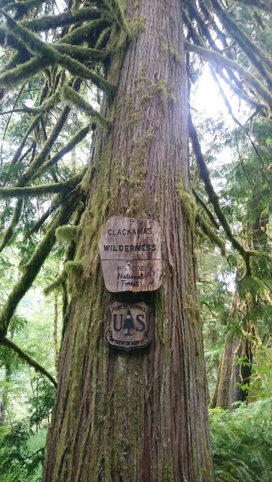 Indian Henry Campground 2