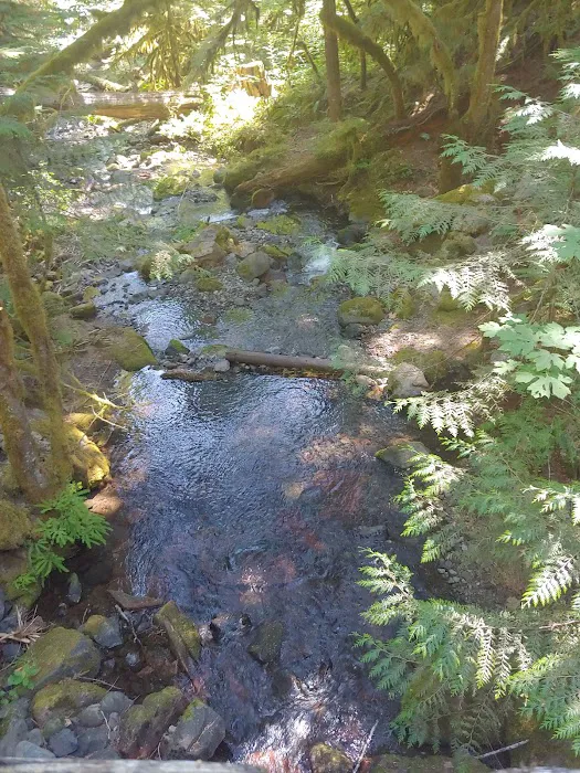 Indian Henry Campground 5