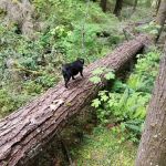 Indian Henry Campground