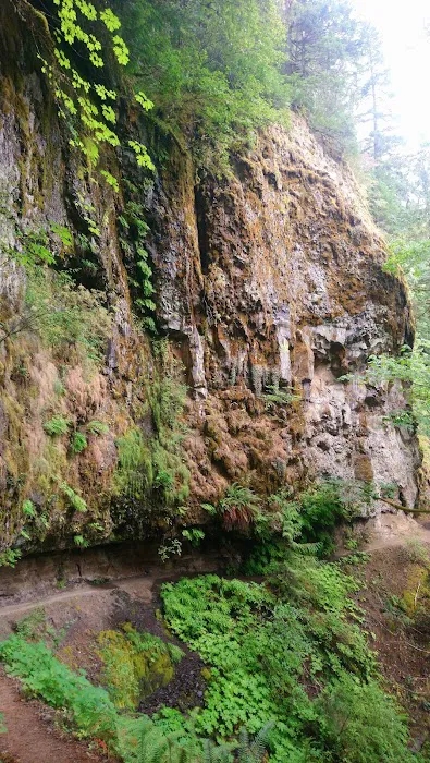 Indian Henry Campground 7