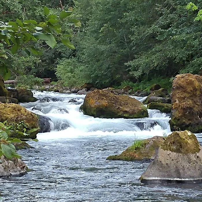 Riverside Campground 4