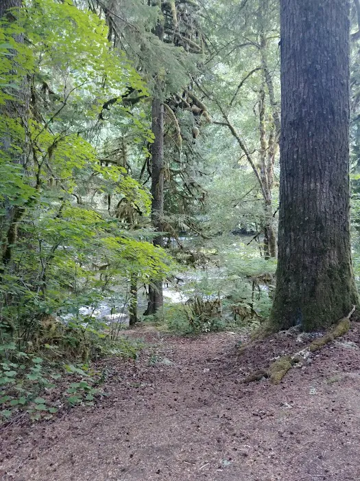 Riverford Campground 4
