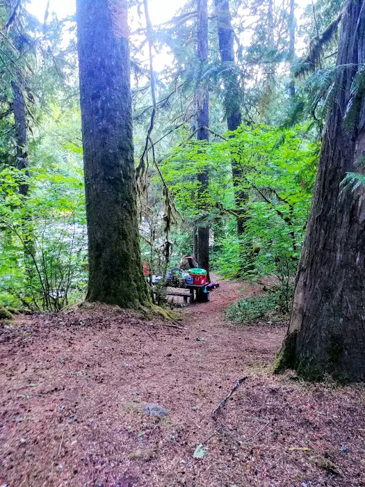 Riverford Campground 9