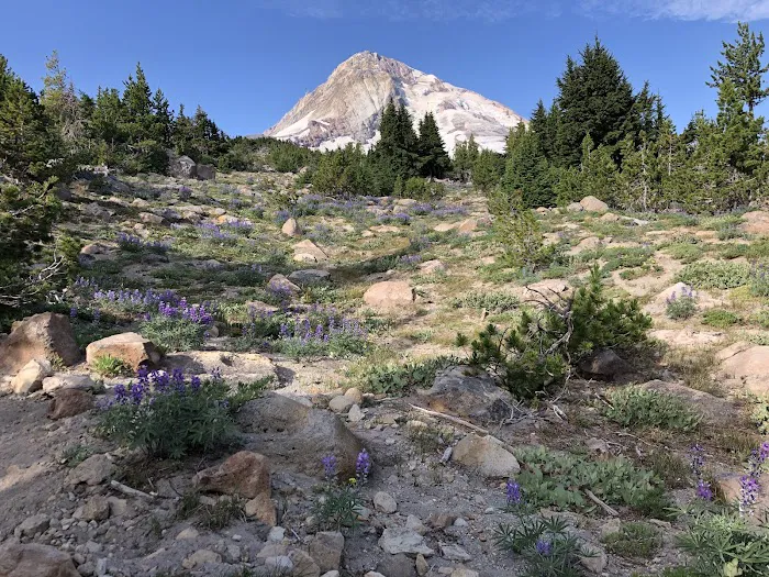 Cooper Spur Trail Shelter 4