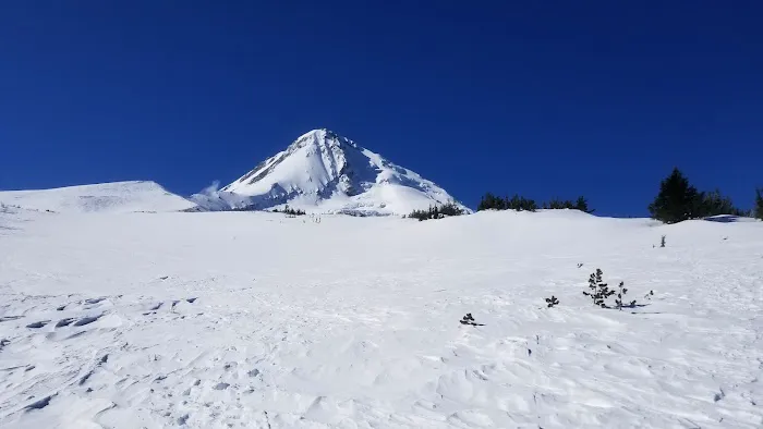 Cooper Spur Trail Shelter 6