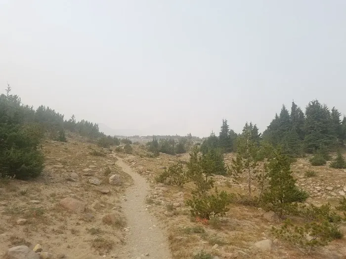 Cooper Spur Trail Shelter 7