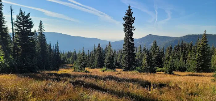 Camp Windy Campground 0