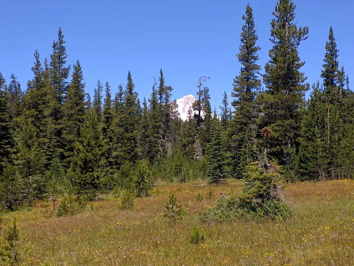 Bonney Meadow Campground 4
