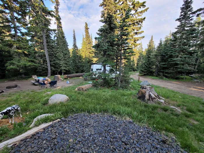 Bonney Meadow Campground 9