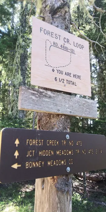 Boulder Lake Campground 3
