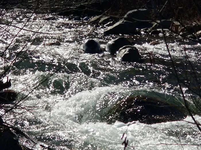 Nottingham Campground 6