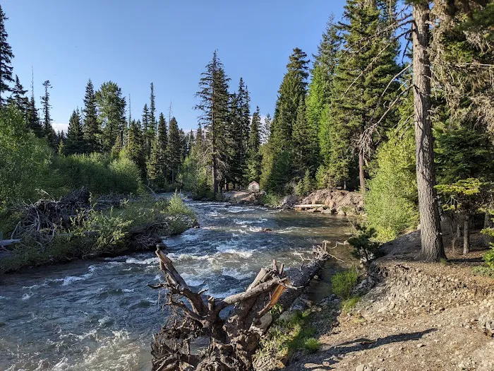 Nottingham Campground 8