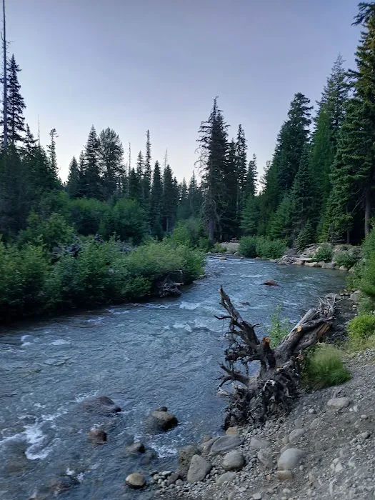 Nottingham Campground 5