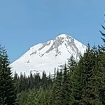 Fifteen Mile Campground