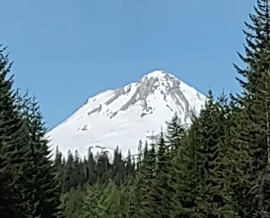 Fifteen Mile Campground