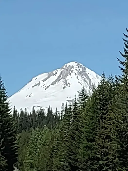 Fifteen Mile Campground 1