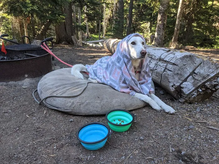 Fifteen Mile Campground 2