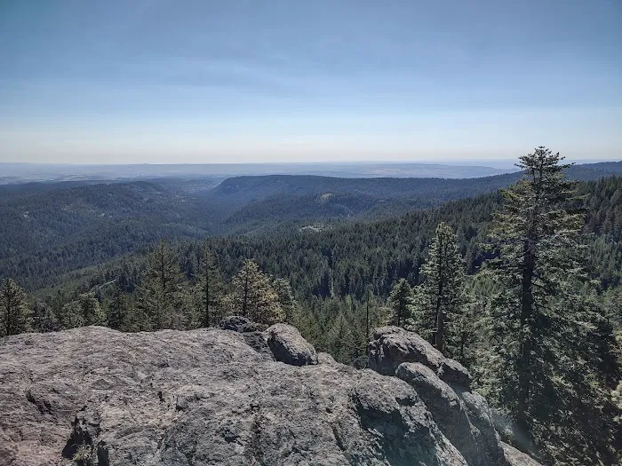 Fifteen Mile Campground 4