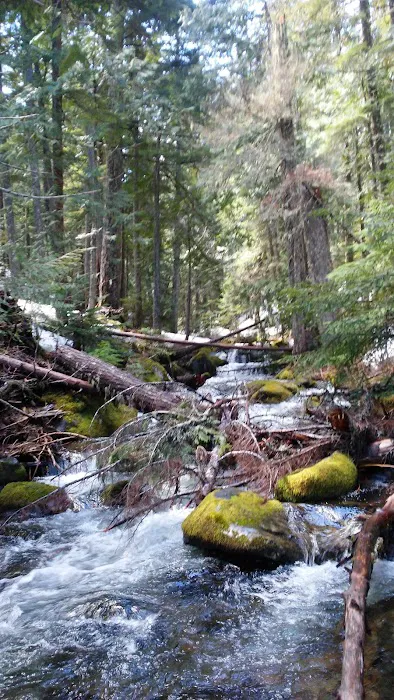 Kinnikinnick (Laurance Lake) Campground 7