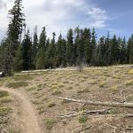 Knebal Springs Campground